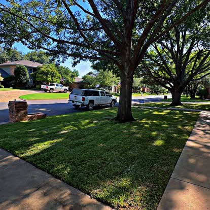 Finished green lawn bordered by established landscape beds