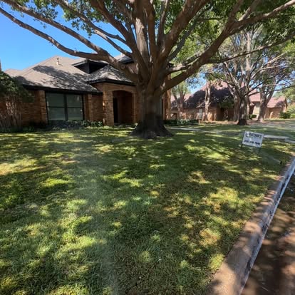 Finished shaded residential lawn with mature trees