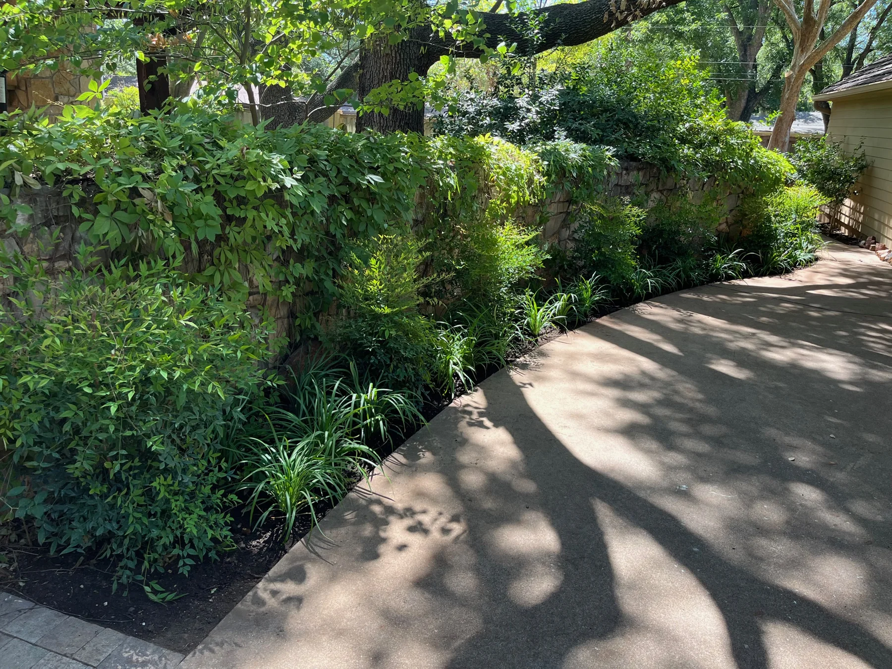 Landscaping along a garden walkway